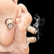 Massage Moxibustion Roll Sticks Burner Box Device