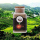 Herbal Cure Stroke Headache Activate Cranial Nerve