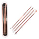 Stainless Steel Blackhead Extractor Removers